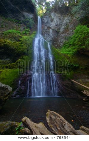 Cascata nella foresta