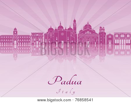 Padua Skyline In Purple Radiant Orchid