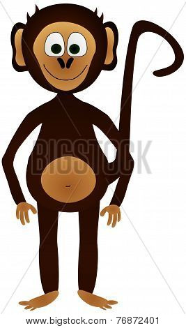 Monkey