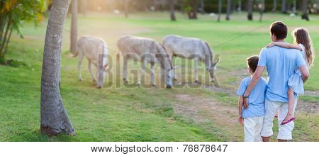 Back view of father and kids family outdoors looking at wild donkeys on beautiful summer evening