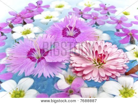 Sommerblomster