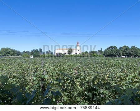 Wine Industry In Maipo Valley, Chile