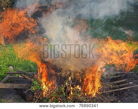 Burning Fire