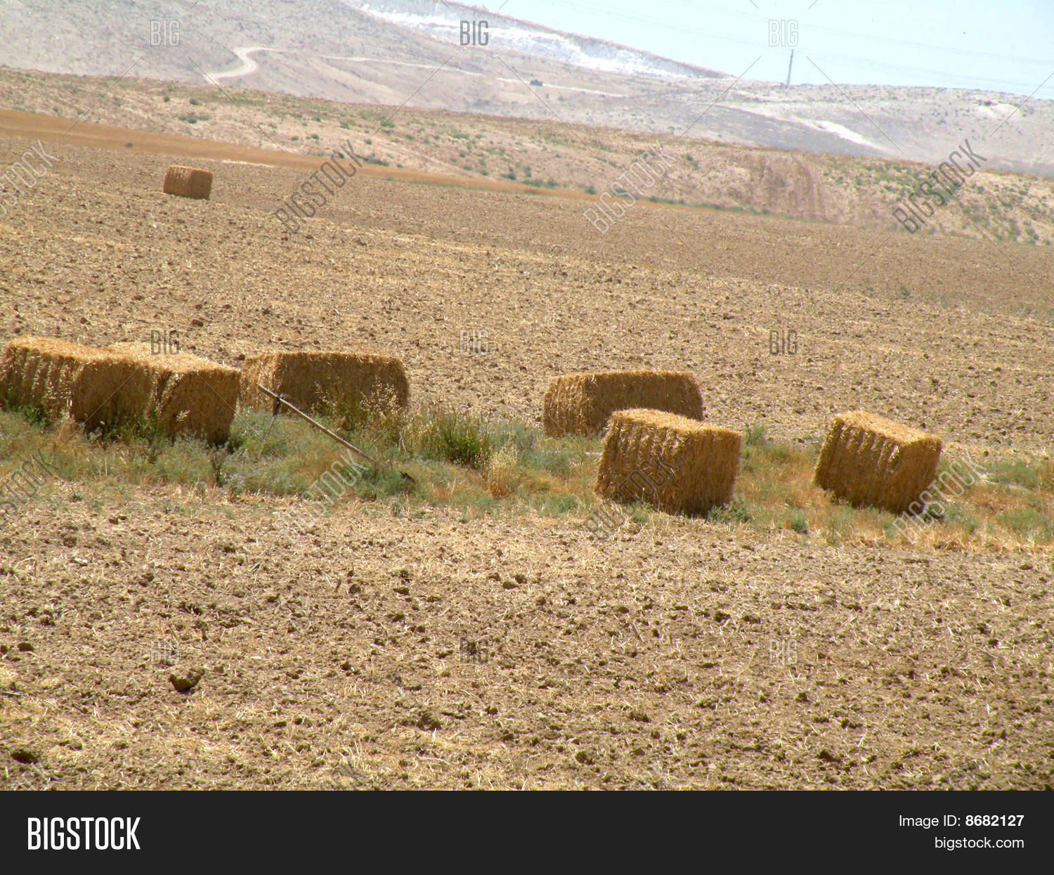 Image Preview