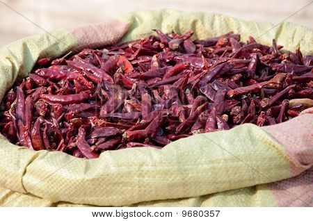 czerwona papryka chili