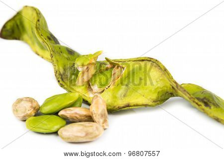 Petai seeds with the its skin, seed pods and cluster at background