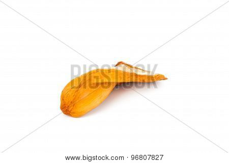 Small, flat and soft seed of the Musang King durian variety in Malaysia