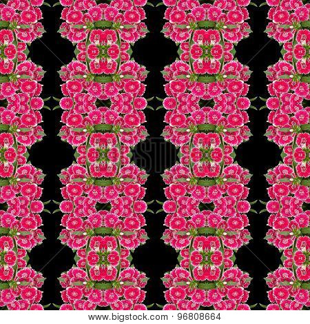Dianthus Flower Seamless Pattern Background