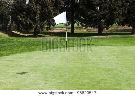 Blank Flagstick On A Putting Green In A Golf Course.