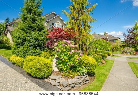 Flowers in front of the house, front yard. Landscape design.