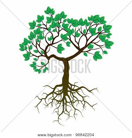 Tree, Roots And Green Leafs. Vector Illustration.