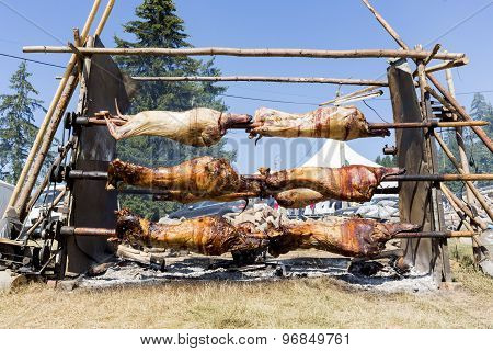 Lambs On Spits Roasting