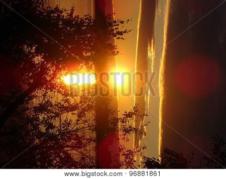 Dawn On The Lake