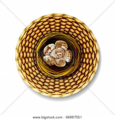 Wattled plate with eggs.