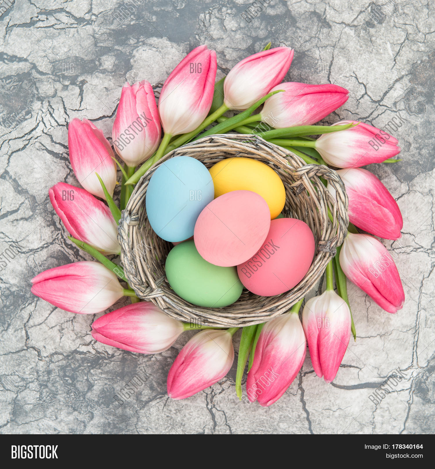 Easter Eggs Tulip Image & Photo (Free Trial) Bigstock