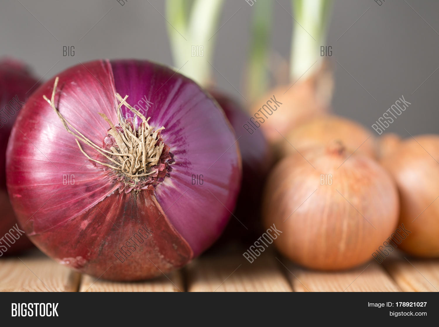 Vitamin Fresh Onions Image & Photo (Free Trial) Bigstock
