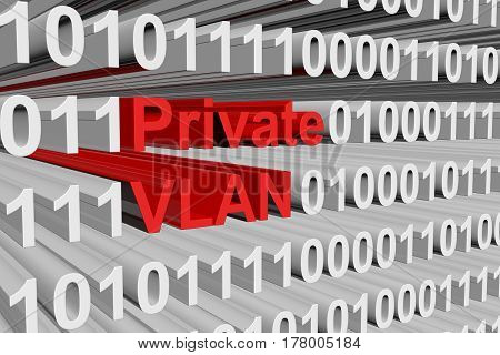 Private VLAN are represented as binary code 3d illustration