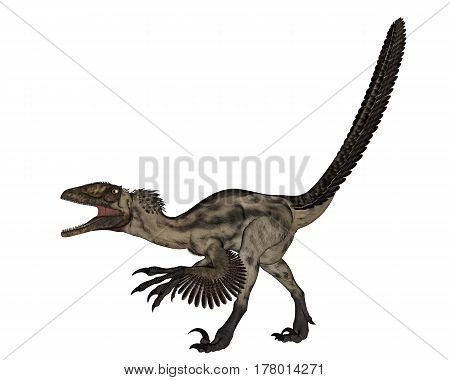 Deinocheirus dinosaur walking and roaring isolated in white background - 3D render