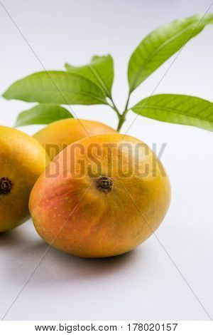 King of fruits; Alphonso yellow Mango fruit duo with stems and green leaf isolated on white background, a product of Konkan from Maharashtra - India