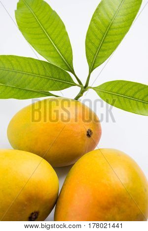 King of fruits; Alphonso yellow Mango fruit duo with stems and green leaf isolated on white background, a product of Konkan from Maharashtra - India