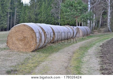 view of haymaking hay storage Niederösterreich Austria