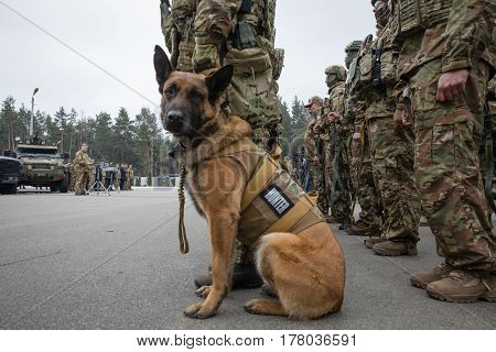 25Th Anniversary Of The Security Service Of Ukraine