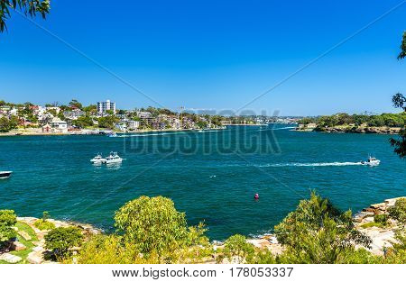 Yachts in Sydney Harbour as seen from Barangaroo Reserve Park - Australia