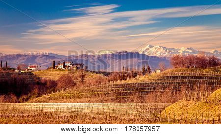 Sunset In The Vineyards Of Rosazzo