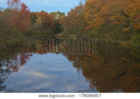 Colorful autumn trees reflected in a Maine stream