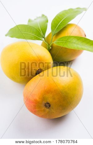 King of fruits; Alphonso yellow Mango fruit duo with stems and green leaf isolated on white background, a product of Konkan from Maharashtra - India