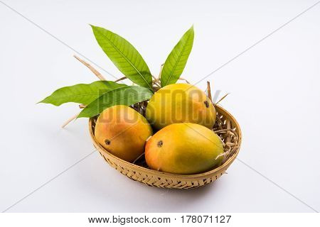 King of fruits; Alphonso yellow Mango fruit duo with stems and green leaf isolated on white background, a product of Konkan from Maharashtra - India