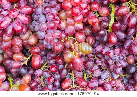 Fresh grapes fruit close up nutrition fresh fruit background