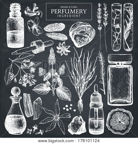 Vector collection of hand drawn perfumery materials and ingredients sketch. Vintage set of aromatic plants for perfumes and cosmetics on chalkboard