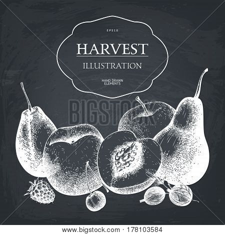 Vector design with ink hand drawn traditional and exotic fruits sketch . Vintage fruits illustration for eco food on chalkboard