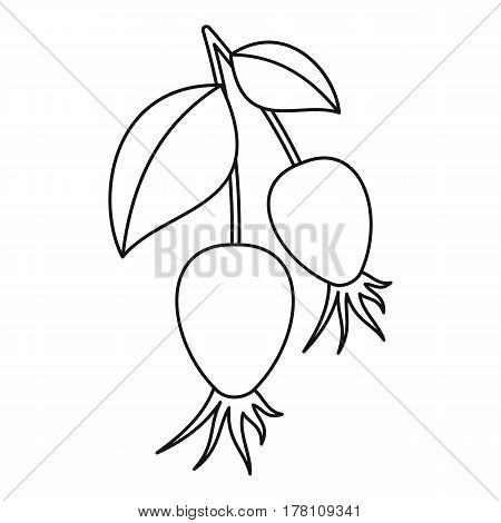 Dogrose berry bunch icon. Outline illustration of dogrose berry bunch vector icon for web