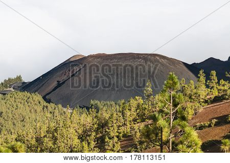 Volcan De Arafo In Tenerife, Spain