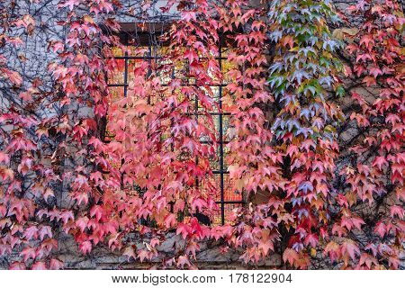 Albiate (Monza Brianza Lombardy Italy): exterior of the historic Villa Airoldi at fall