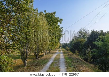 Park of Grugnotorto (Lombardy Italy) between Milan and Brianza in autumn. A path for bicycle and pedestrian