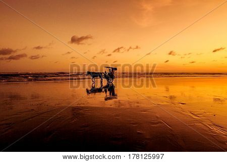 Sunset and silhouette at Parangtritis Beach, Central Java Indonesia