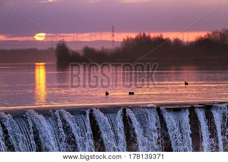Ducks in the lake, Lippesee , Germany.