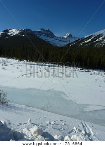 Park Narodowy Jasper, Kanada
