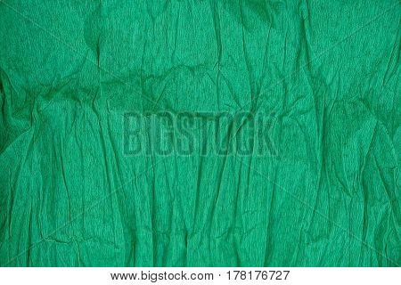 Green background of a roll of crumpled paper