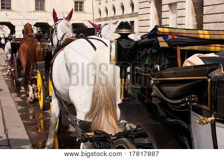Fiaker en Viena, Austria