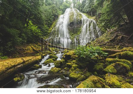 Beautiful Waterfall In Lush Forest
