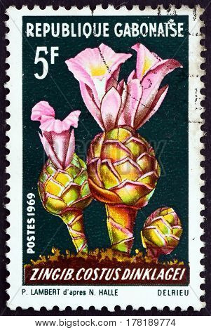 GABON - CIRCA 1969: a stamp printed in the Gabon shows Costus Dinklagei African Plant circa 1969