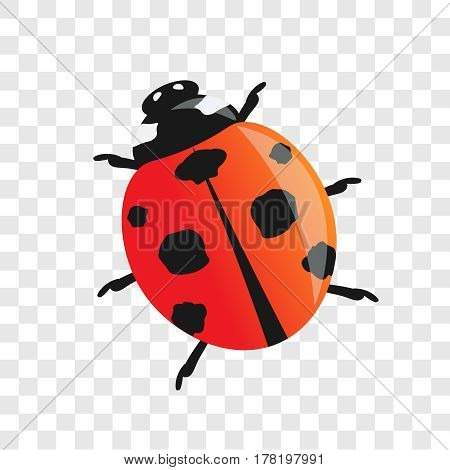 ladybug. red.  summer. little. isolated. vector illustration