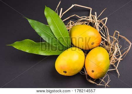 King of fruits; Alphonso yellow Mango fruit duo with stems and green leaf isolated over colourful background, a product of Konkan from Maharashtra - India
