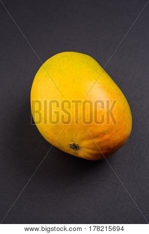 King of fruits; Alphonso yellow Mango fruit duo with stems and green leaf isolated over colourful background, a product of Konkan from Maharashtra - India
