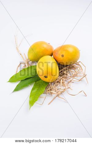 King of fruits; Alphonso yellow Mango fruit duo with stems and green leaf isolated over colourful background, a product of Konkan from Maharashtra - India