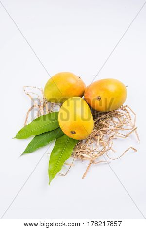 King of fruits; Alphonso yellow Mango fruit duo with stems and green leaf isolated over colourful background, a product of Konkan from Maharashtra - India